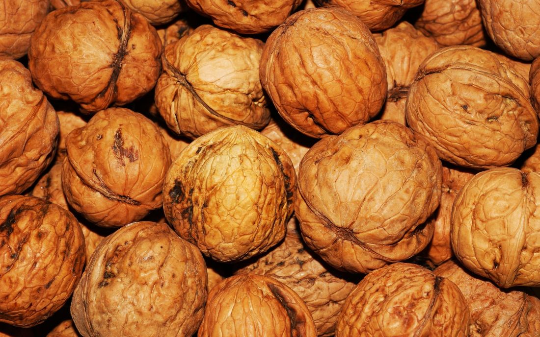 food, walnut, seed, fruit, brown, nuts, shell, nutshell