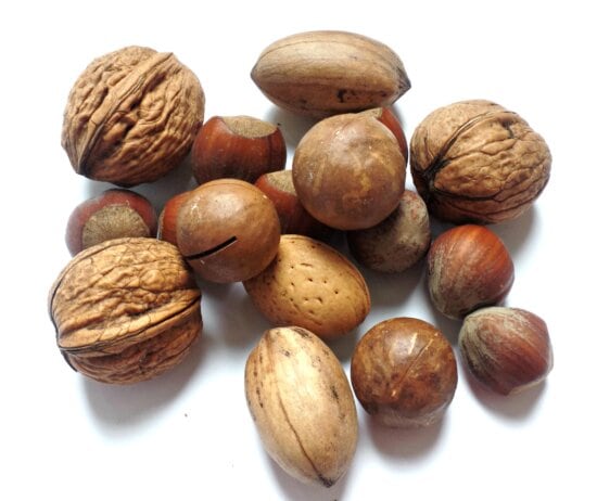 nutshell, walnut, food, buggy, nutrition, shell, seed, dry, pod