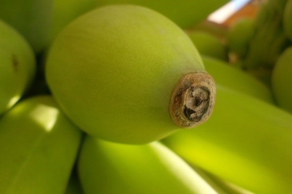 โพแทสเซียม กล้วย ผลไม้ อาหาร อาหาร สีเขียว