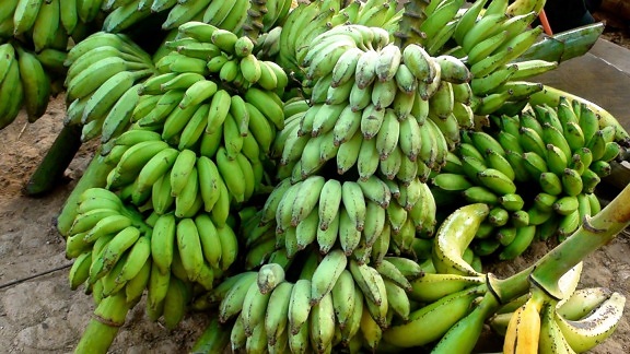 plátano, fruta, comida, inmaduro, dieta vegetal, potasio, orgánica