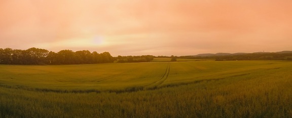 landscape, field, sunset, farm, agriculture, dawn, land, steppe