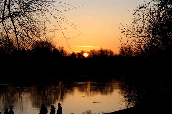 landscape, dawn, tree, winter, lake, silhouette, reflection, sunset