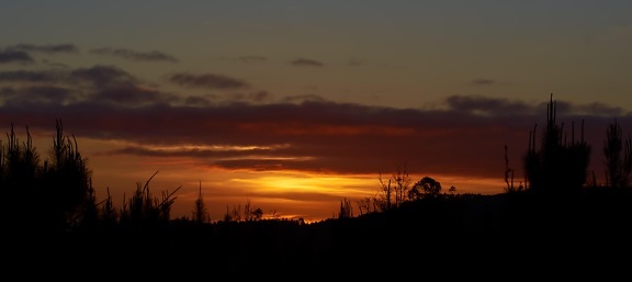 sunset, landscape, silhouette, dawn, sky, sun, dusk, backlit, cable