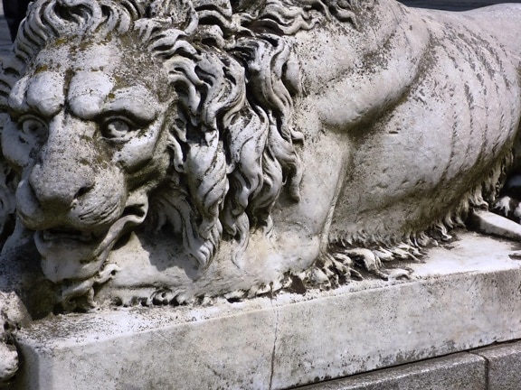 γλυπτική, άγαλμα, λιοντάρι, μάρμαρο, αρχαία, τέχνη, πέτρα
