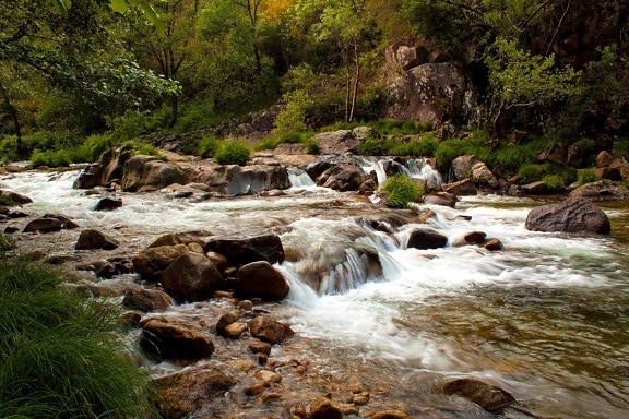 vesi stream, vesiputous, river, luonto, puu, maisema
