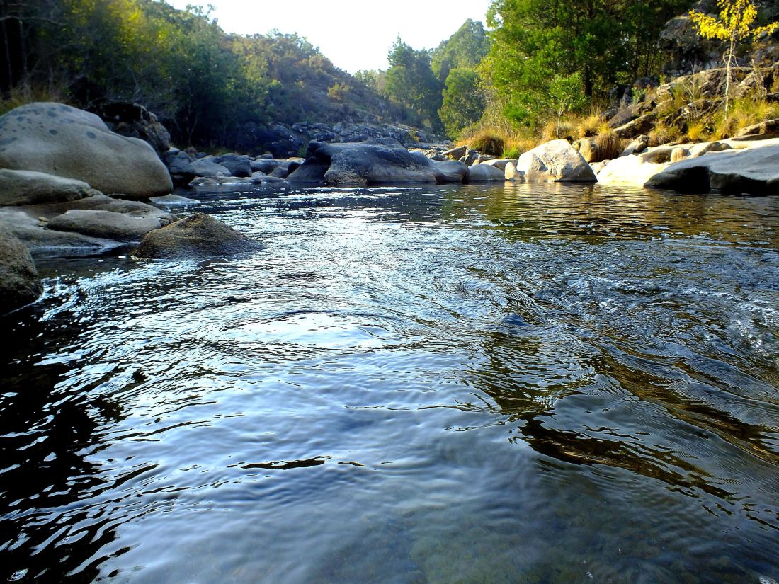 vode, Rijeka, potok, prirode, vodopad, mokro, šuma, krajolik