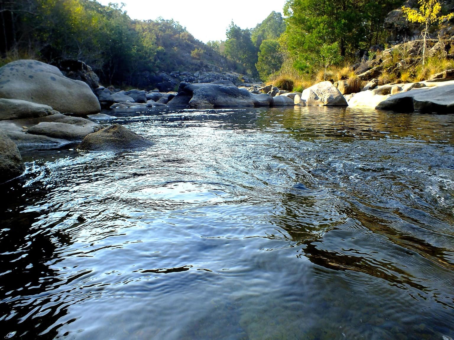 река вода