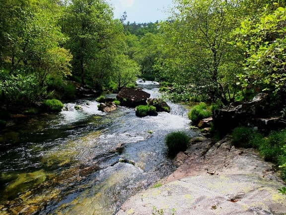 vody, príroda, drevo, rieka, príroda, stream, vodopád