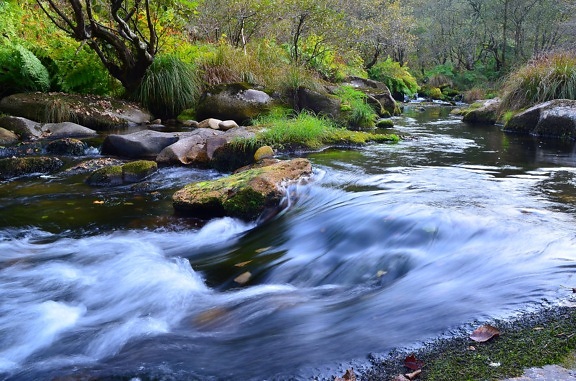 vesi stream, joki, vesiputous, luonto, creek, maisema