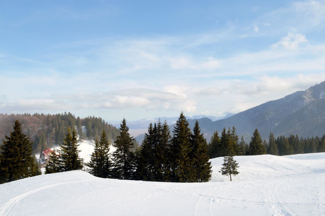 tuyết, mùa đông, núi, lạnh, phong cảnh, gỗ, cây, bầu trời xanh