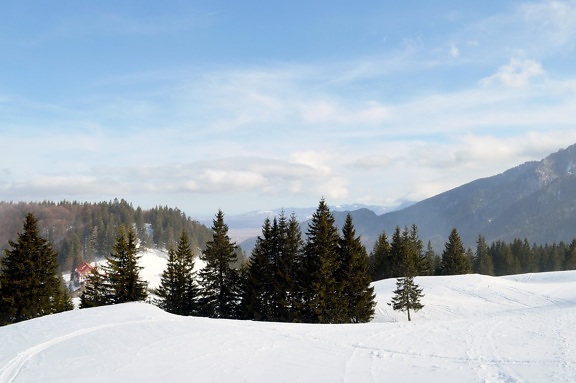 Schnee, Winter, Berg, Kälte, Landschaft, Holz, Baum, blauer Himmel