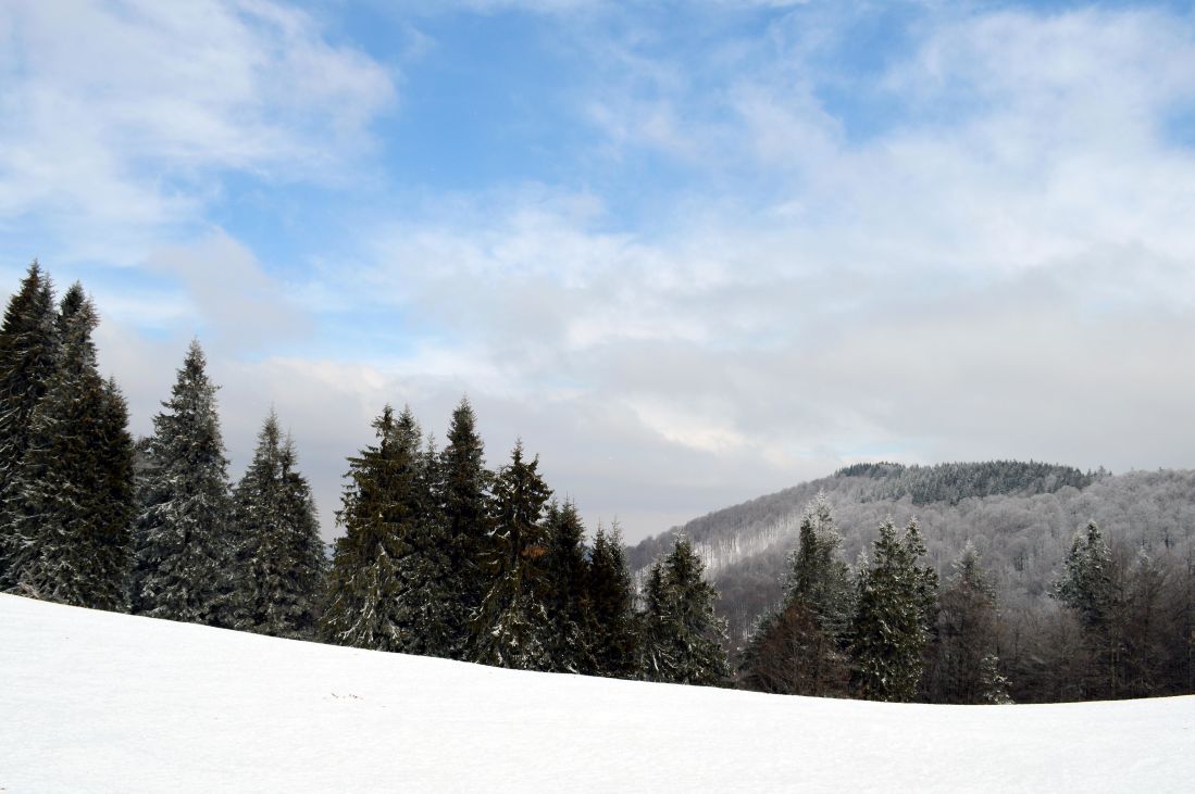salju, musim dingin, gunung, dingin, lanskap, kayu, pohon, bukit, langit biru