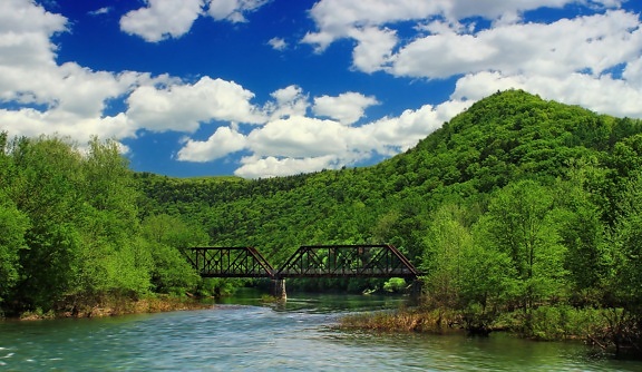 น้ำ แม่น้ำ ธรรมชาติ ไม้ สะพาน ต้นไม้ ฤดูร้อน ภูมิทัศน์