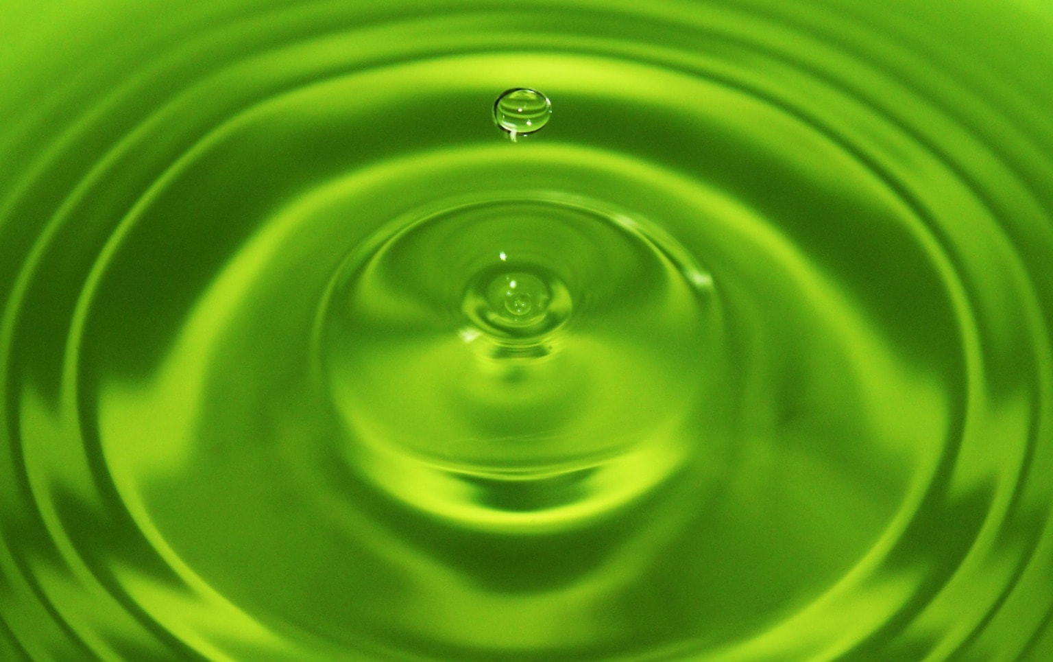 Зеленая вода