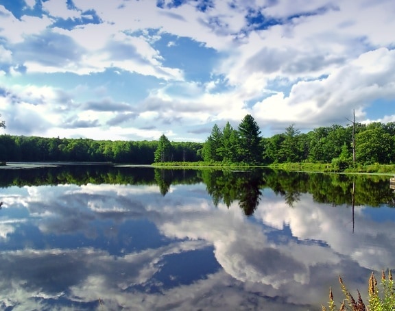 vatten, landskap, sjön, reflektion, träd, reflektion, natur