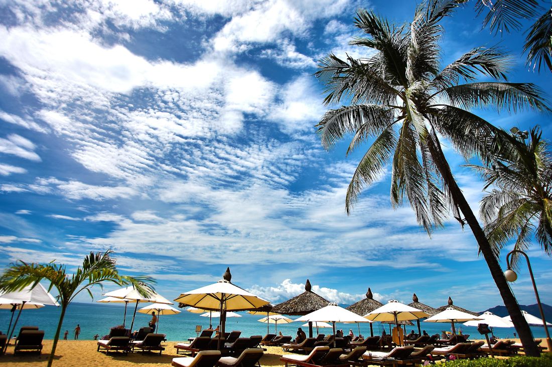 stranden, palme, eksotiske, blå himmel, sand, ocean, parasol, møbler, seashore, vand, sol