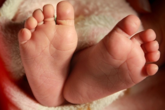 stóp, dziecka, noworodka, skóry dłoni, boso, niemowlę