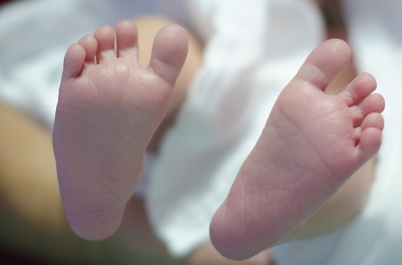 chân, tay, người phụ nữ, trẻ sơ sinh, em bé, chân, ngón tay