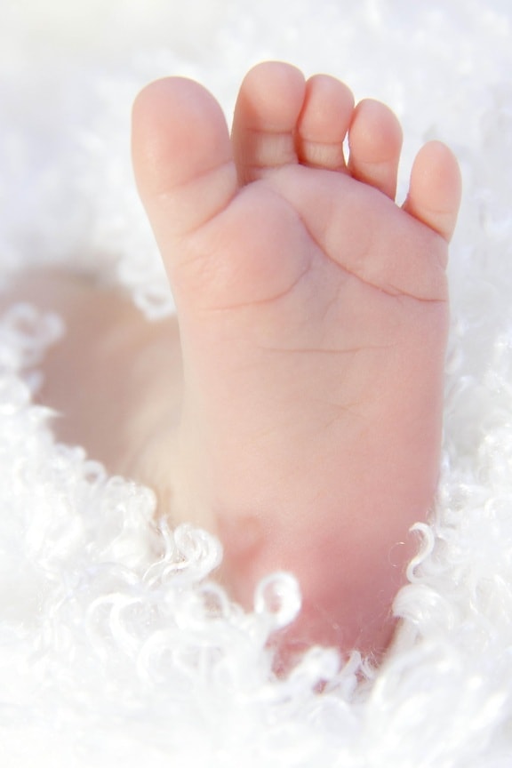 毯子, 皮肤, 人, 赤脚, 手指, 婴儿, 新生儿, 年轻, 皮肤