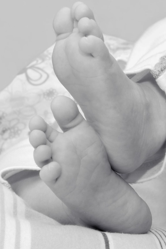 baby, newborn, foot, hand, person, monochnome, child, human, son