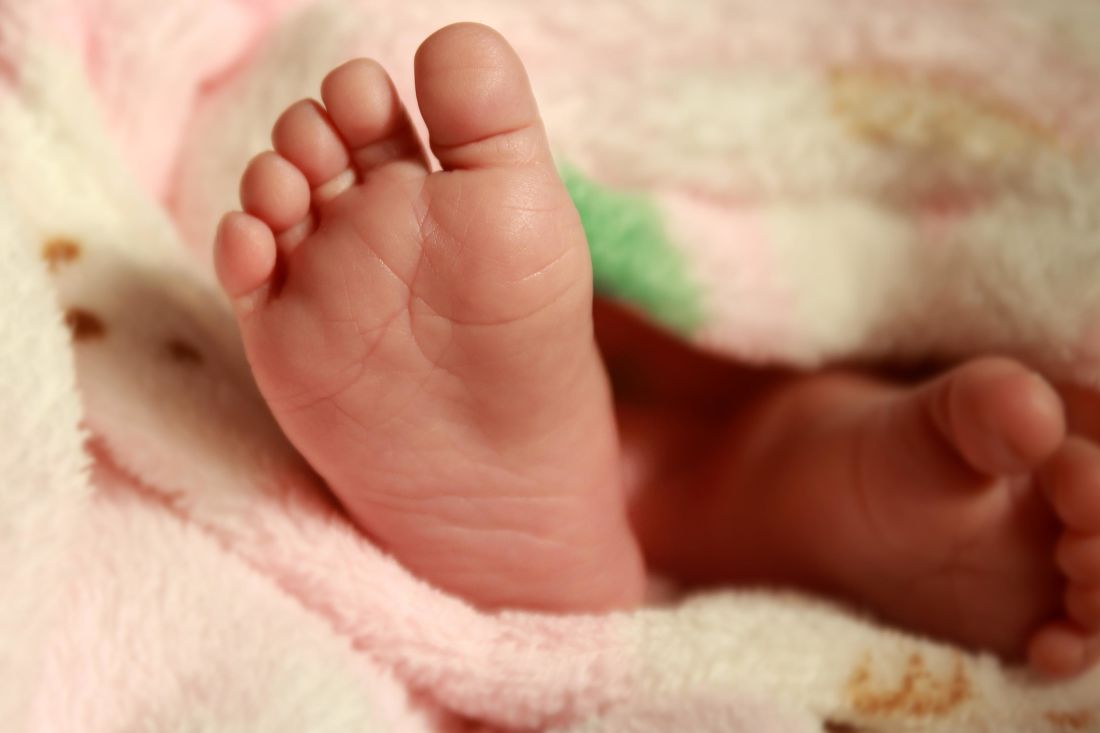 101+ Gambar Anak Babi Baru Lahir 