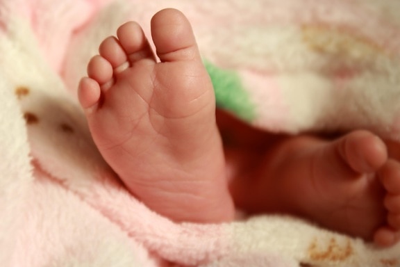 recién nacido, bebé, pies, niño, piel, manta, mano, persona