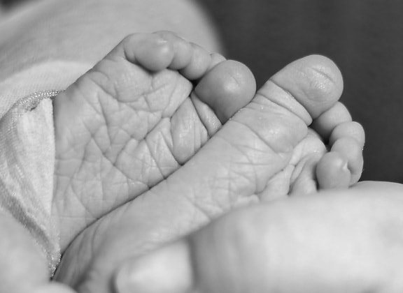ruku, beba, novorođenče, stopala, dijete, ruka, prst, crno-bijeli, bora