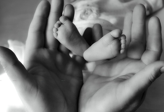 흑백, 신생아, 아기, 발, 사람, 손
