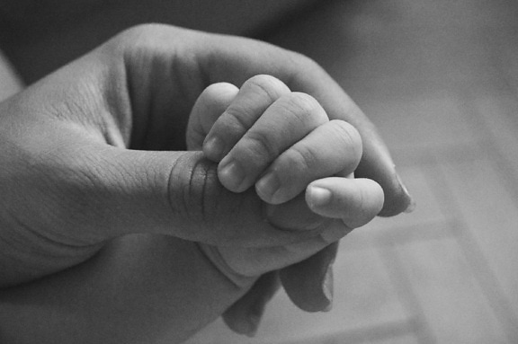 kézzel, emberek, baba, láb, újszülött, nő, Szépia, fekete-fehér