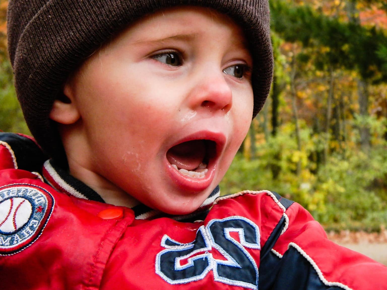 Imagen Gratis Niño Niño Juguetón Felicidad Emoción Cara Retrato