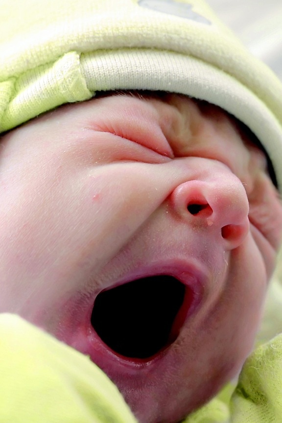 เด็ก ใบหน้า สวย ผ้าห่ม ผิว ทารกแรกเกิด ทารก คน