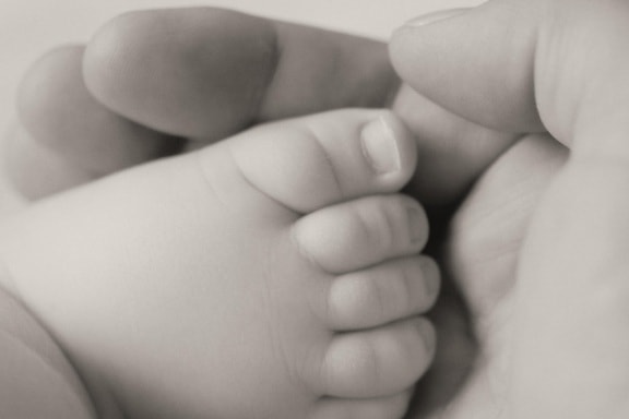 Μωρό, πόδια, μονόχρωμα, νεογέννητο, γυναίκα, χέρι, κορίτσι, δέρμα, άτομα, σώμα
