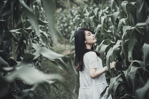 woman, field, corn, people, girl, portrait, nature, outdoor, person