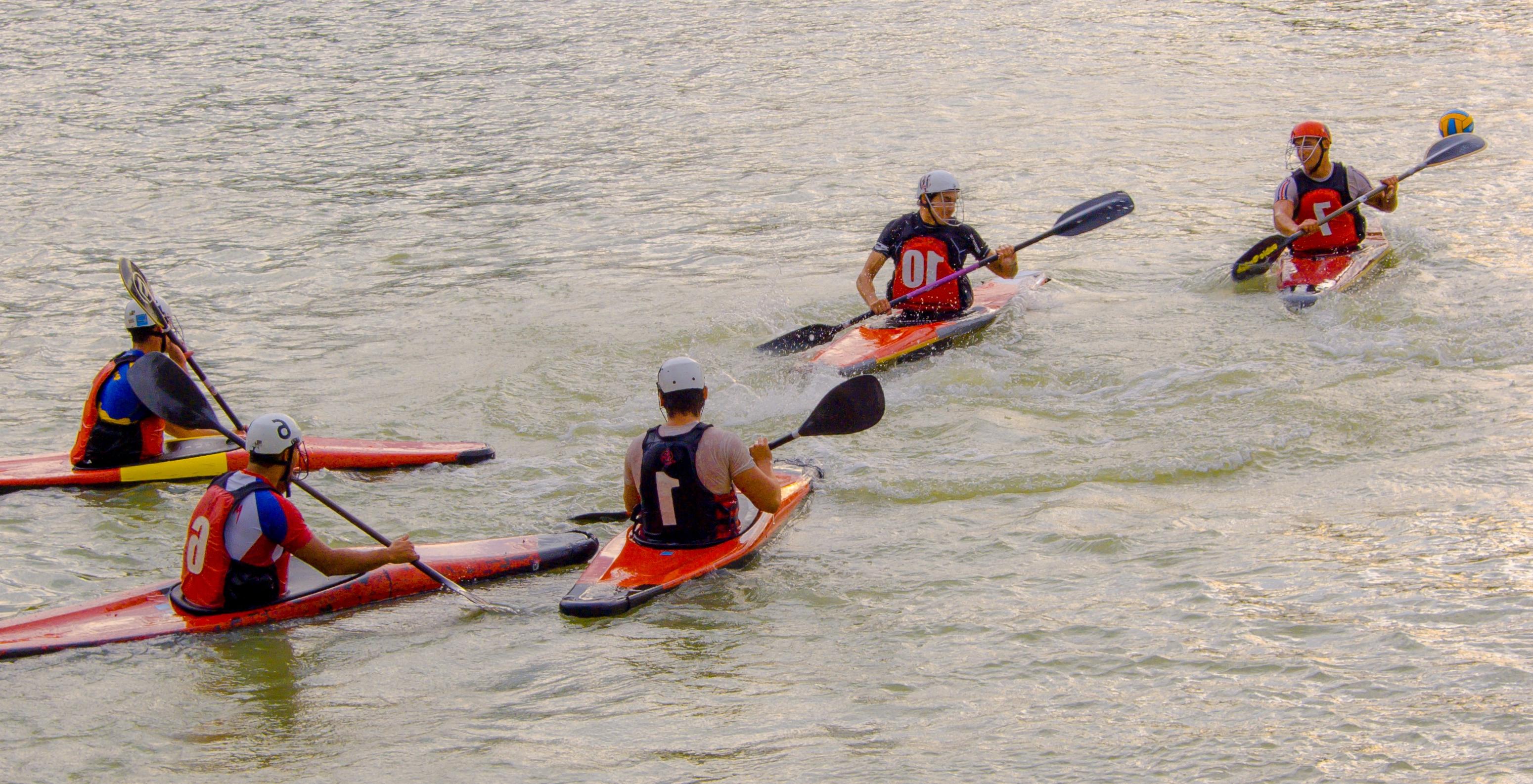 Free picture: oar, canoe, competition, teamwork, kayak 