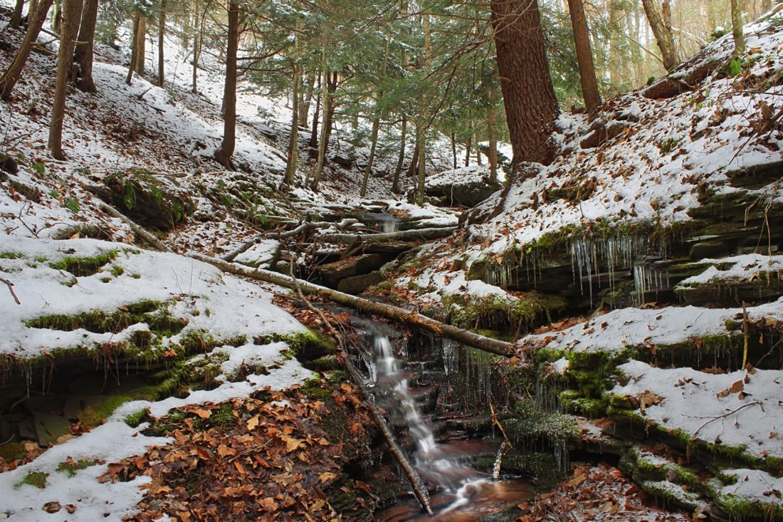 snow, winter, ice, forest, wood, nature, tree, landscape, water, environment, river