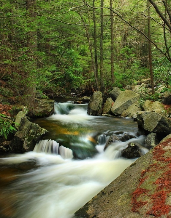 wood, water, waterfall, nature, river, creek, leaf, stream