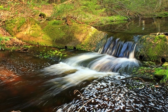 vesi, joki, stream, vesiputous, luonto, märkä, creek