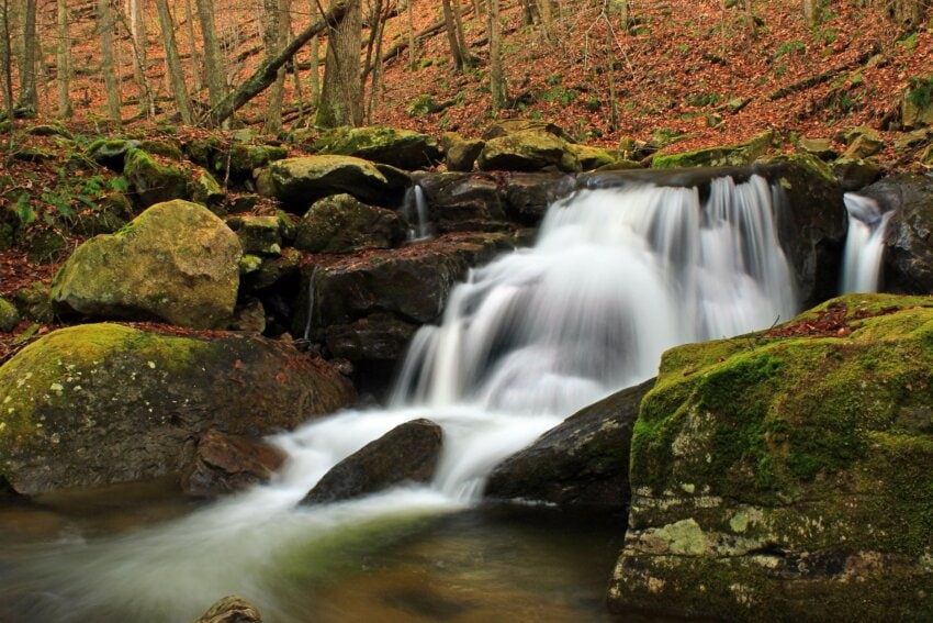 Free Picture Water Waterfall Autumn Forest Stream River Nature