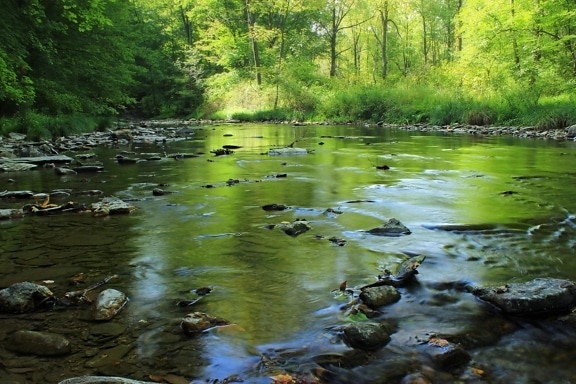 вода, река, природа, гора, зелена, екология, поток, пейзаж, дърво, блато