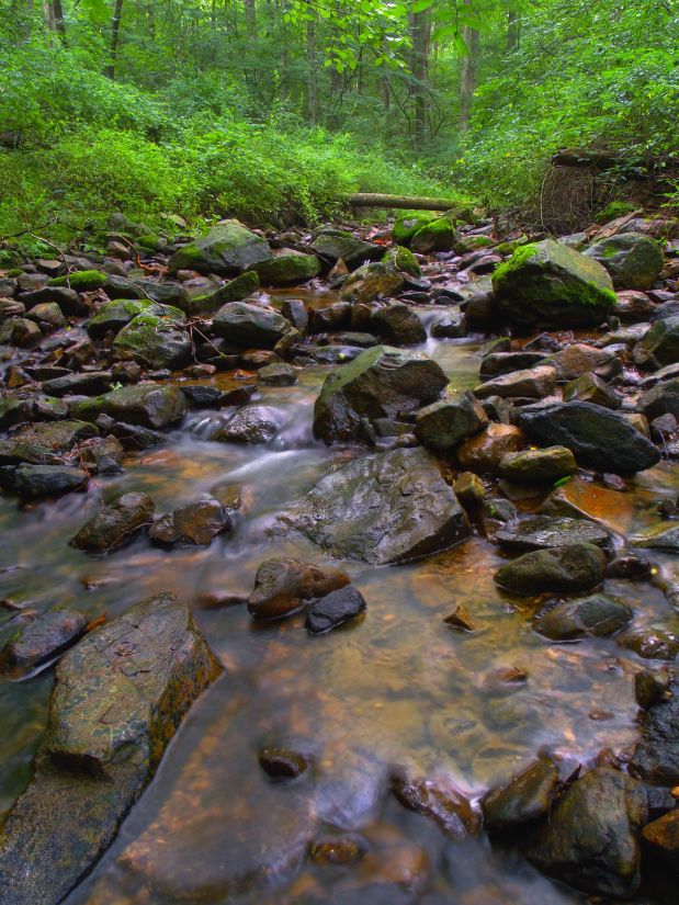 rivier, water, stroom, steen, woud, waterval, natuur, hout, creek