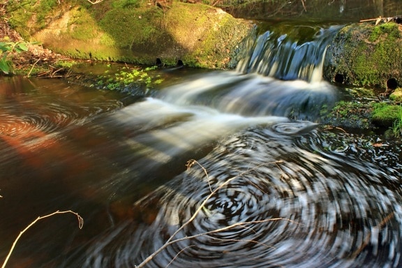ecology, water, river, nature, stream, waterfall, wood, wet, creek