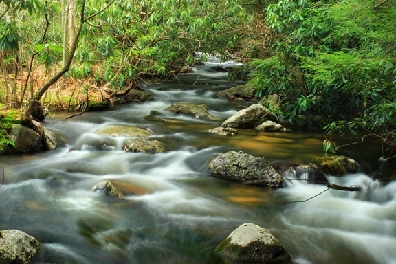 水, 河, 河, 石头, 生态学, 瀑布, 小河, 自然, 木头, 小河