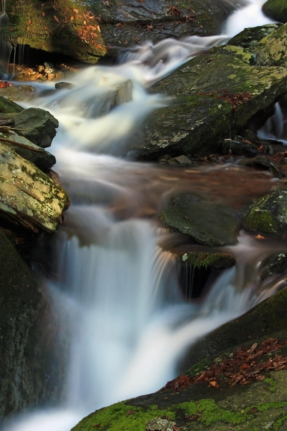 waterfall, stream, water, river, moss, ecology, moss, creek, nature