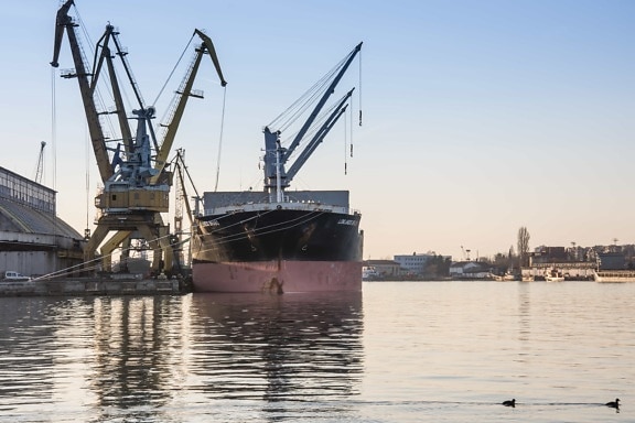 Cargo teherszállító hajó, víz, motoros vízi sporteszközök, hajó, kikötő, pier, tenger, ipari