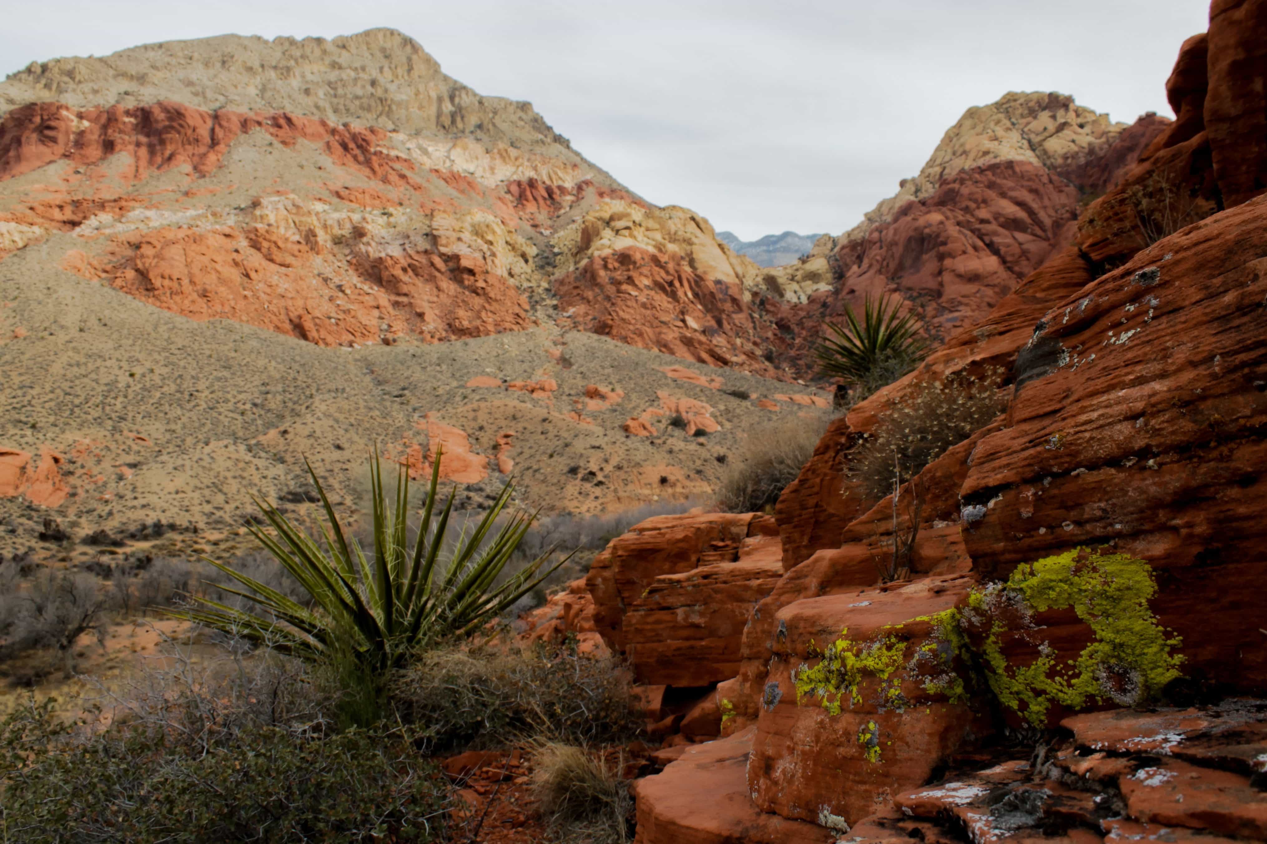 Free picture: desert, erosion, landscape, canyon ...