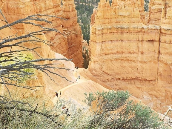 natur canyon sandstein, stein, landskap, geologi, gamle