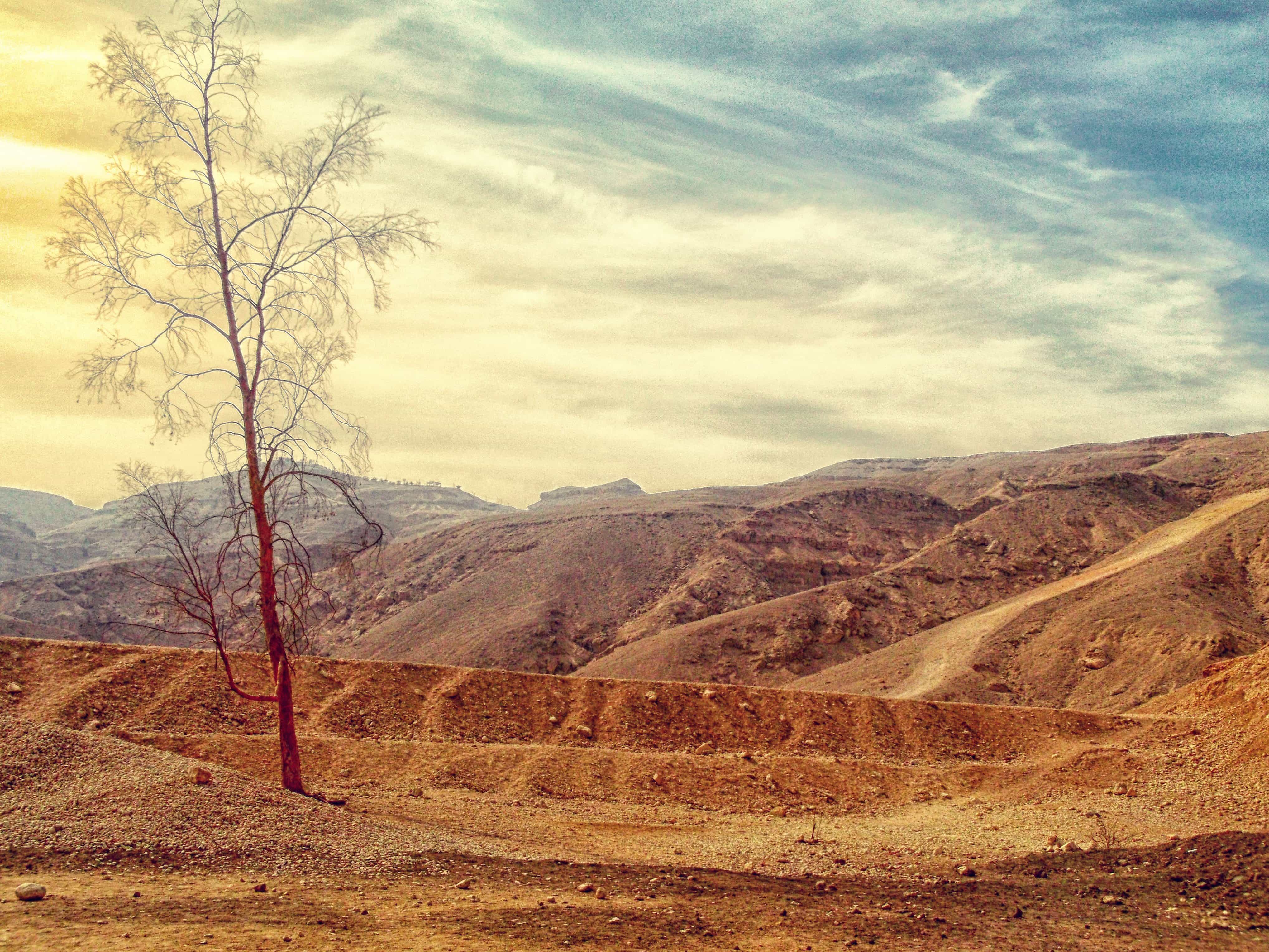 フリー写真画像 風景 山 自然 空 木 夏 クラウド 砂漠 屋外