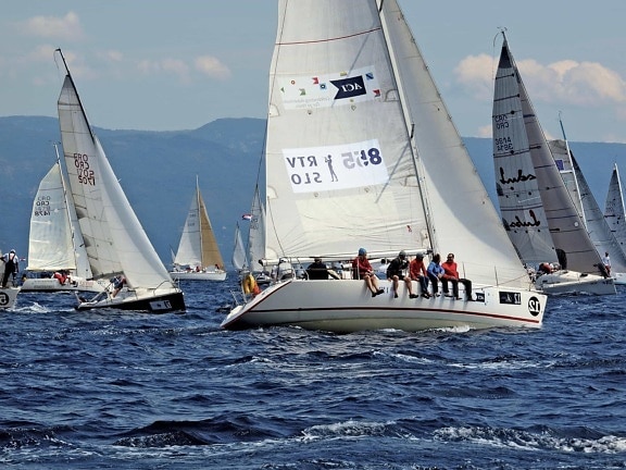 sailboat, sail, yacht, teamwork, sport, team, sailor, watercraft, race, regatta, crew