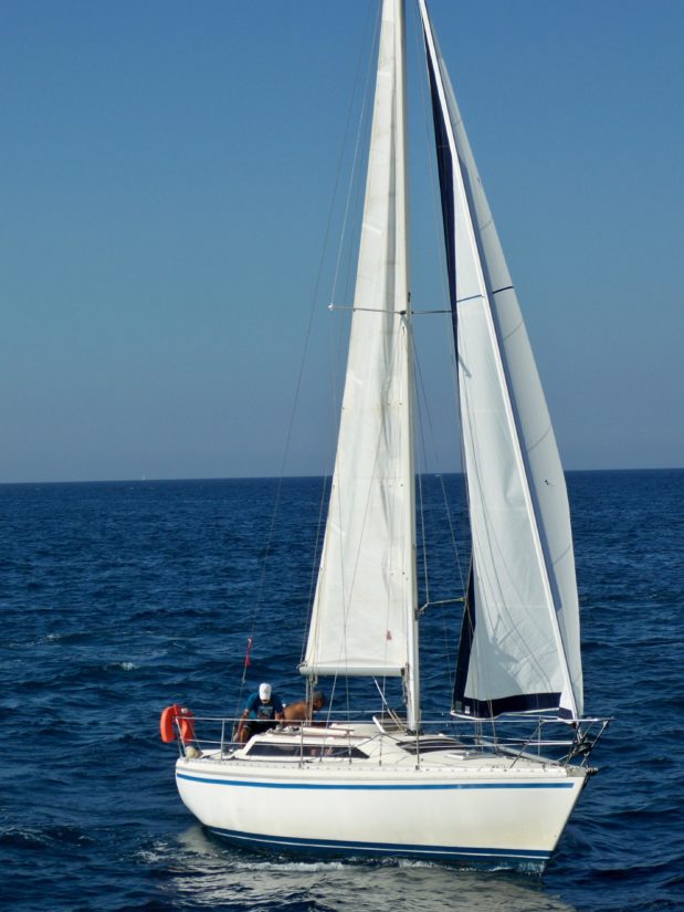 sailboat, yacht, sail, water, watercraft, sea, catamaran