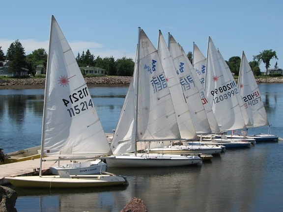 sailboat, sail, sailing, sport, watercraft, water, boat, sea